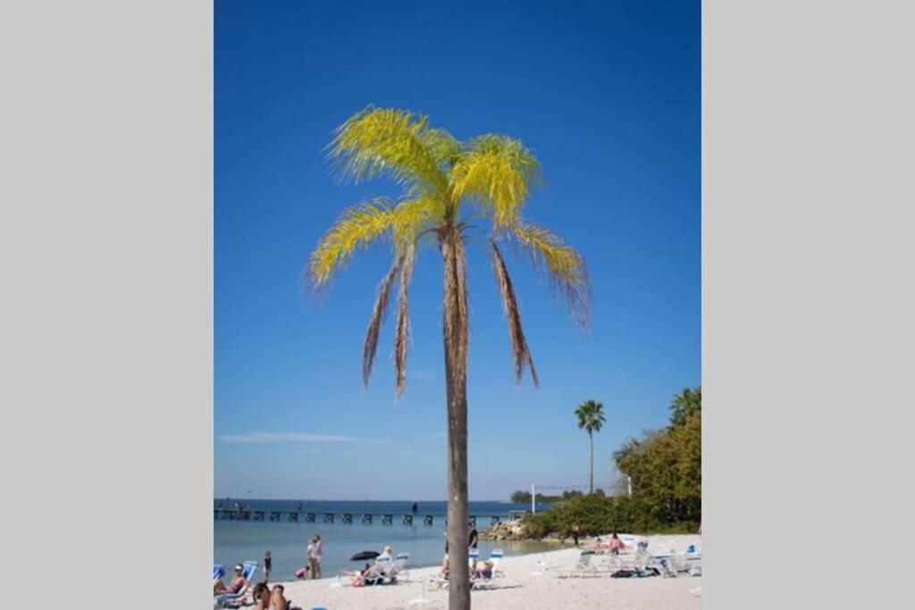 Sea Breeze, Studio 510, Beach Steps Away!+Pool+Wifi Ruskin Exterior foto