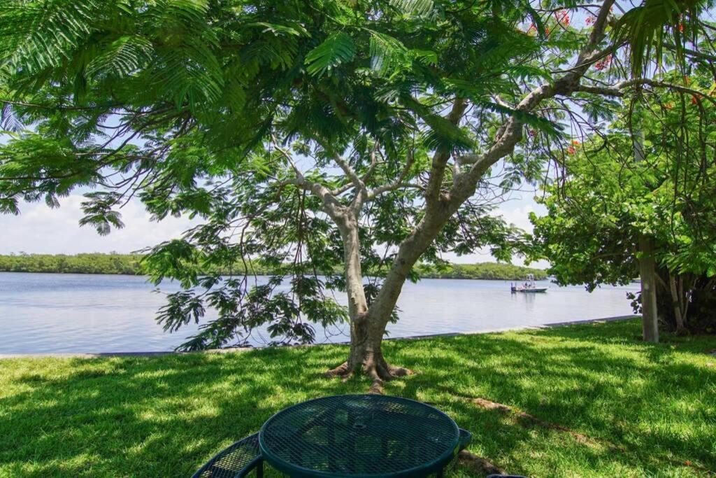 Sea Breeze, Studio 510, Beach Steps Away!+Pool+Wifi Ruskin Exterior foto